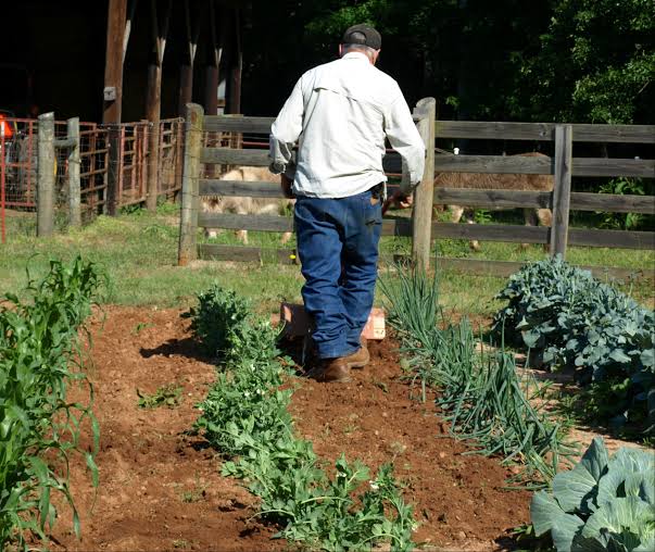 Weedy Garden Beds - Control Growth Without Harsh Chemicals